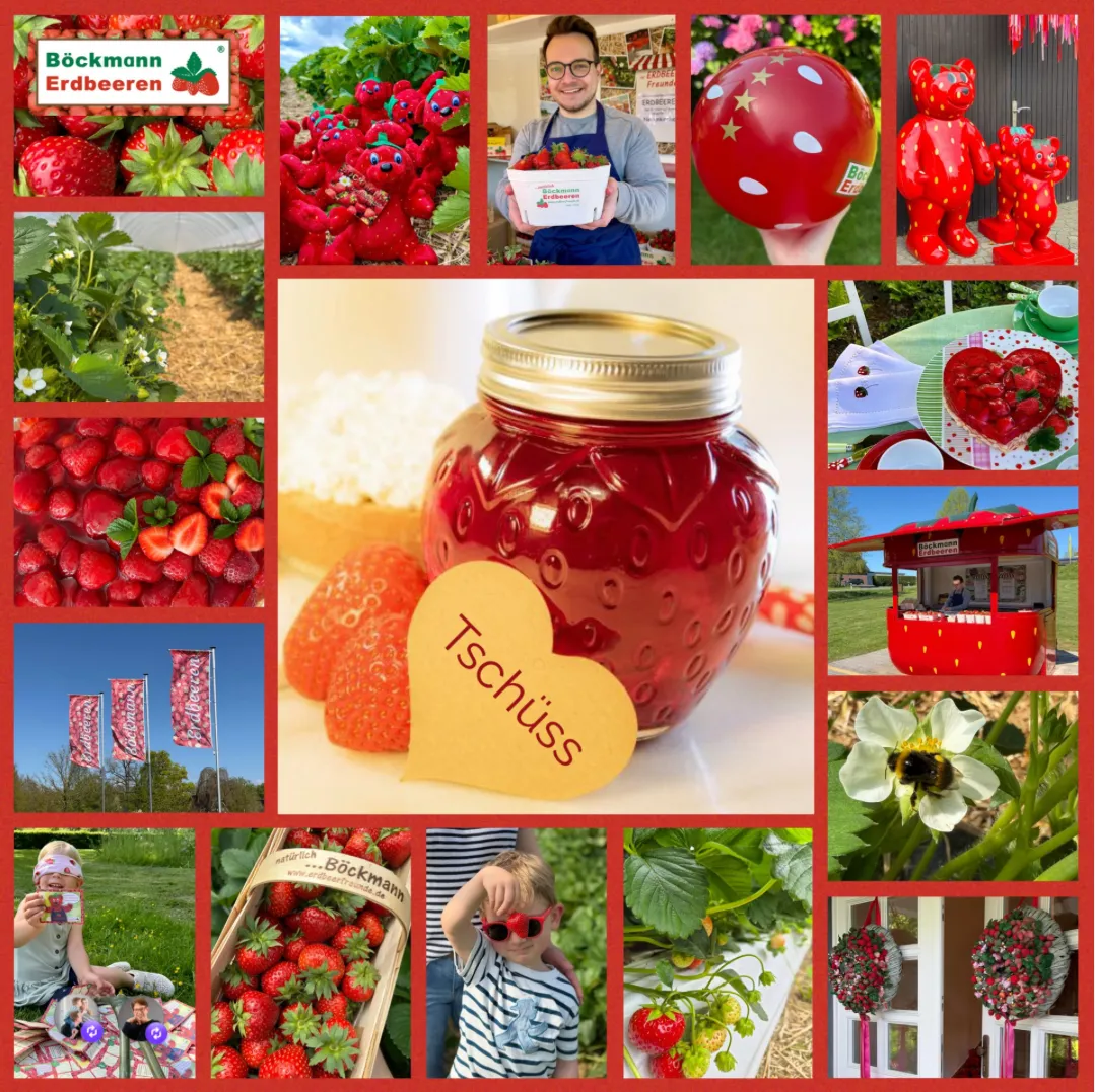 Saisonende Motiv 2026 Boeckmann Erdbeeren eGbR