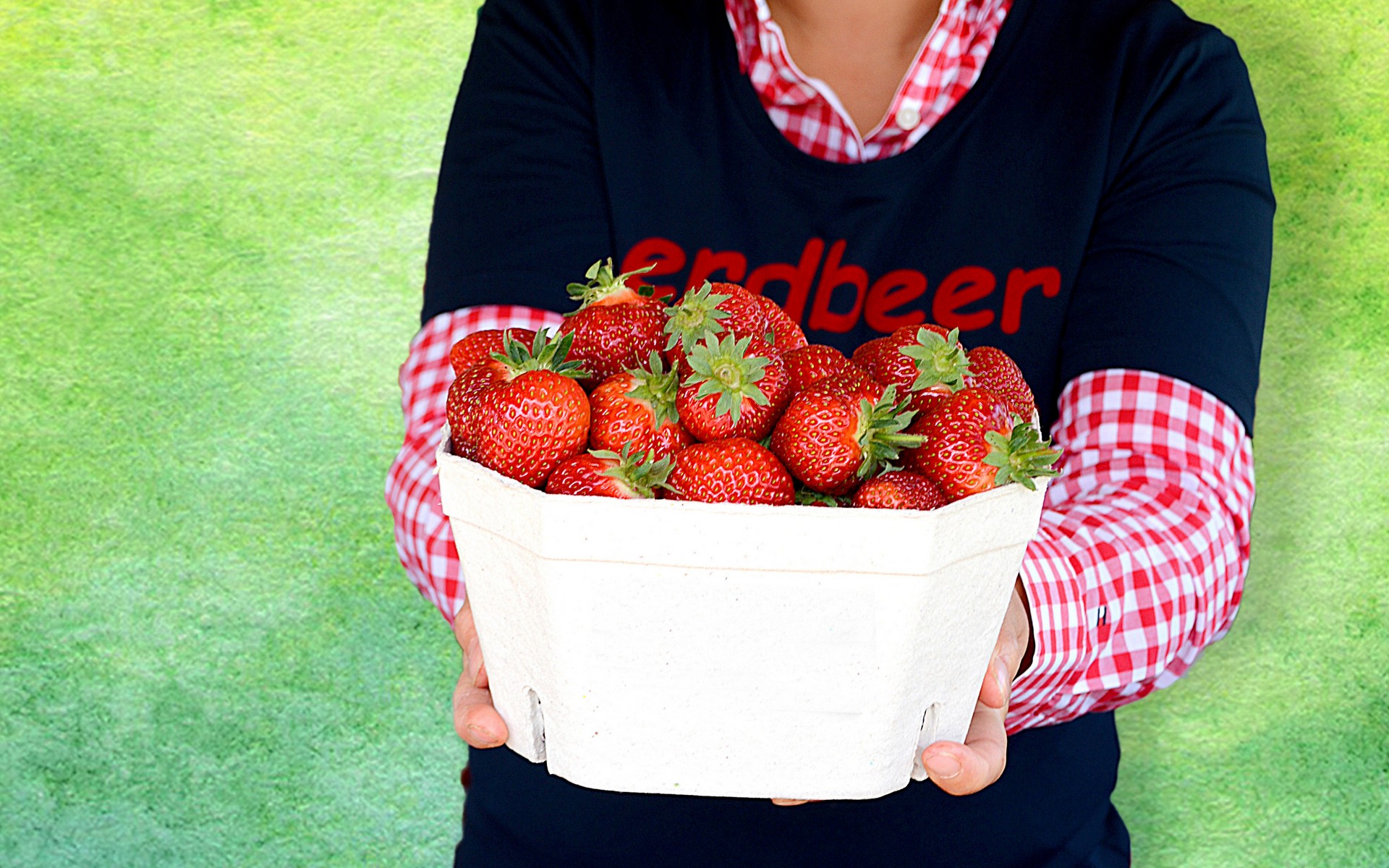 Eine Erdbeerschale mit köstlich frischen Erdbeeren wird dem Betrachter gezeigt bzw überreicht. Die Schale hält eine Erdbeerverkäuferin dem Bildbetrachter entgegen.